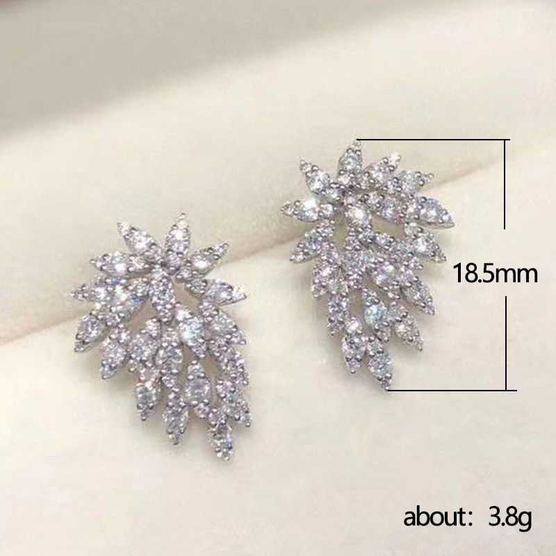 Strass 925 Sterling Zilver Sta - Statement Earrings Oversized recensie en prijs